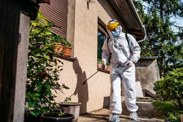 Wildlife Control Services in Ellsworth, ME