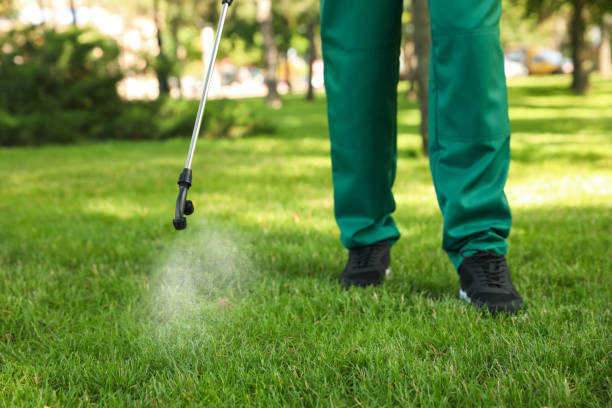 Best Wildlife Control Services  in Ellsworth, ME