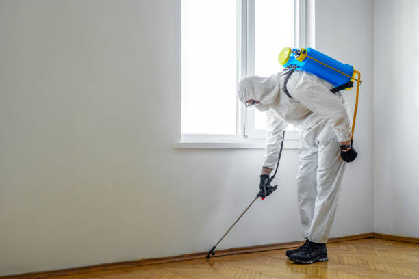 Pest Prevention Services in Ellsworth, ME