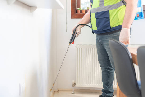 Reliable Ellsworth, ME Pest Control Solutions