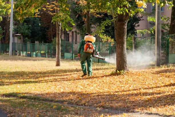 Best Local Pest Control Services  in Ellsworth, ME