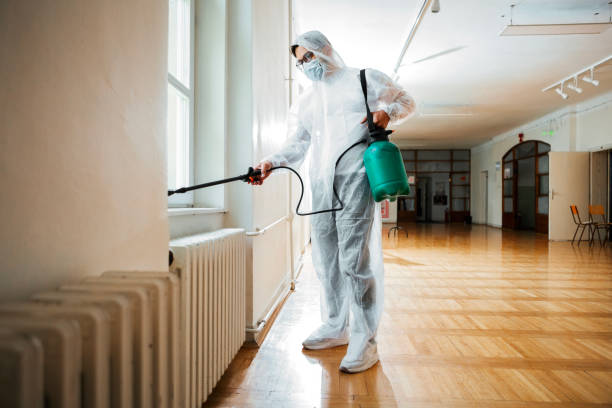 Best Pest Control Near Me  in Ellsworth, ME